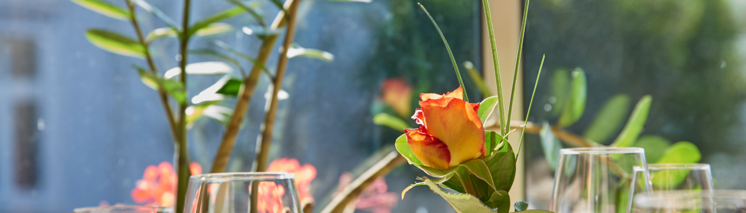 Ein sonnenbeschienener Tisch, gedeckt mit Weingläsern, einer gefalteten Serviette und einer Vase mit einer orangefarbenen Rose, vor einem Fenster mit grünen Pflanzen.