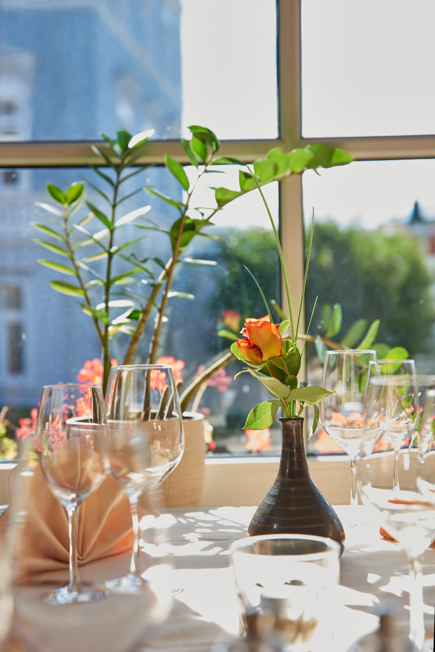Ein sonnenbeschienener Tisch, gedeckt mit Weingläsern, einer gefalteten Serviette und einer Vase mit einer orangefarbenen Rose, vor einem Fenster mit grünen Pflanzen.